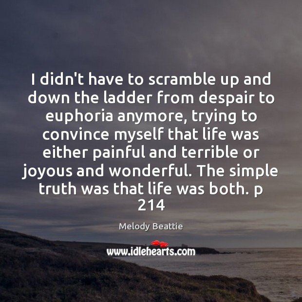I didn’t have to scramble up and down the ladder from despair Melody Beattie Picture Quote