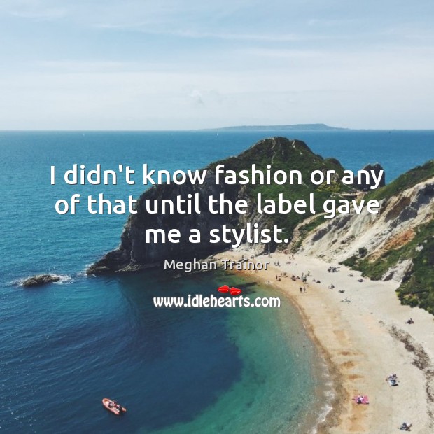 I didn’t know fashion or any of that until the label gave me a stylist. Meghan Trainor Picture Quote