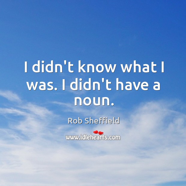 I didn’t know what I was. I didn’t have a noun. Rob Sheffield Picture Quote
