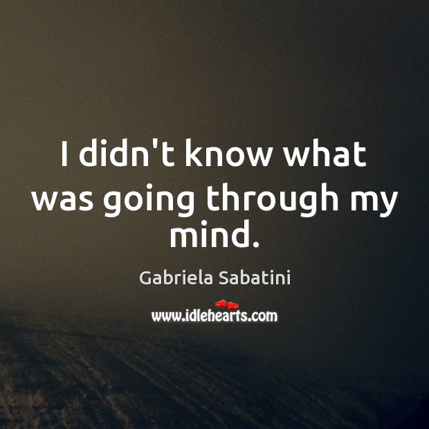 I didn’t know what was going through my mind. Gabriela Sabatini Picture Quote