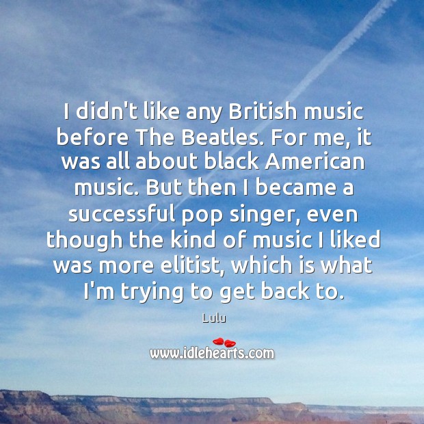I didn’t like any British music before The Beatles. For me, it Lulu Picture Quote