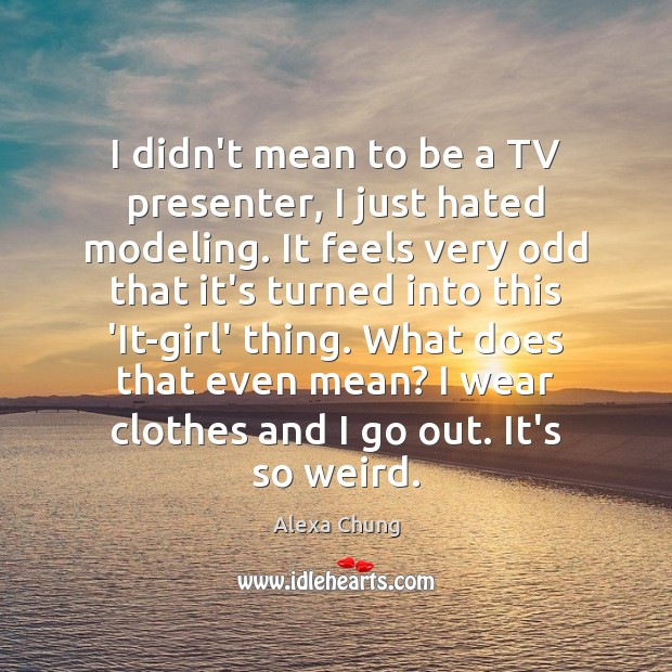 I didn’t mean to be a TV presenter, I just hated modeling. Alexa Chung Picture Quote