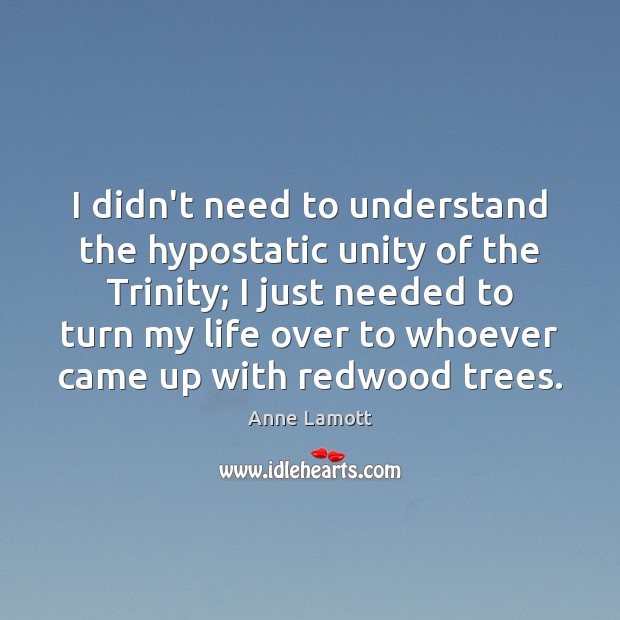 I didn’t need to understand the hypostatic unity of the Trinity; I Anne Lamott Picture Quote