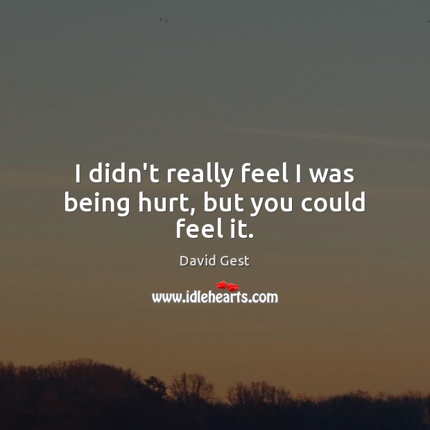 I didn’t really feel I was being hurt, but you could feel it. David Gest Picture Quote