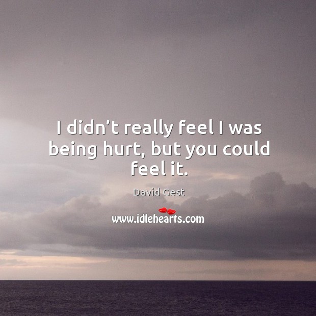 I didn’t really feel I was being hurt, but you could feel it. David Gest Picture Quote