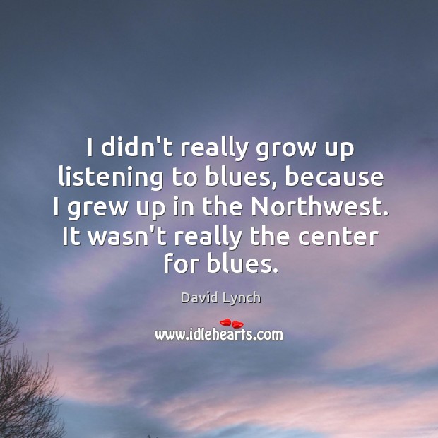 I didn’t really grow up listening to blues, because I grew up David Lynch Picture Quote
