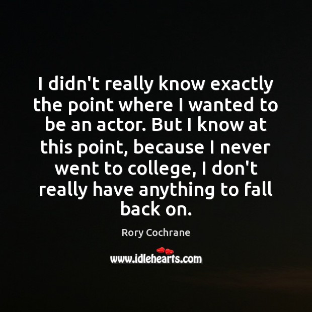 I didn’t really know exactly the point where I wanted to be Rory Cochrane Picture Quote