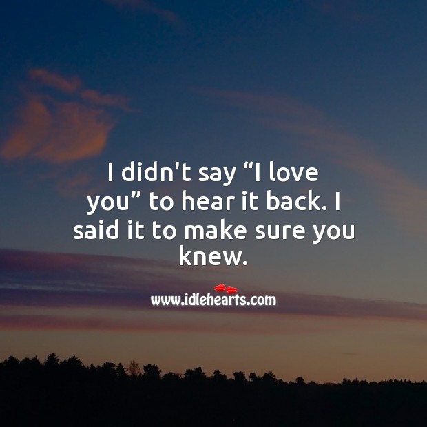 I didn’t say “I love you” to hear it back. I said it to make sure you knew. I Love You Quotes Image