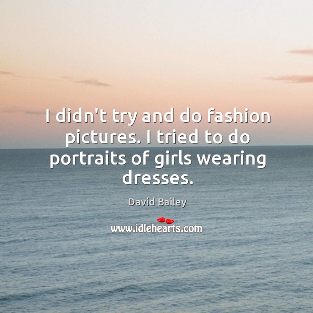 I didn’t try and do fashion pictures. I tried to do portraits of girls wearing dresses. David Bailey Picture Quote