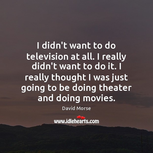 I didn’t want to do television at all. I really didn’t want David Morse Picture Quote
