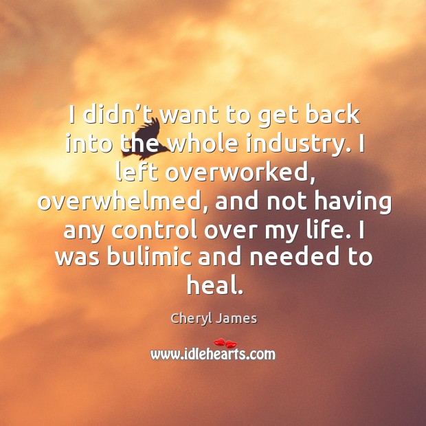 I didn’t want to get back into the whole industry. Cheryl James Picture Quote