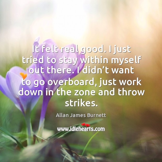 I didn’t want to go overboard, just work down in the zone and throw strikes. Allan James Burnett Picture Quote
