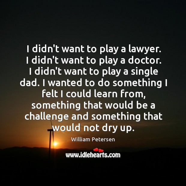 I didn’t want to play a lawyer. I didn’t want to play William Petersen Picture Quote