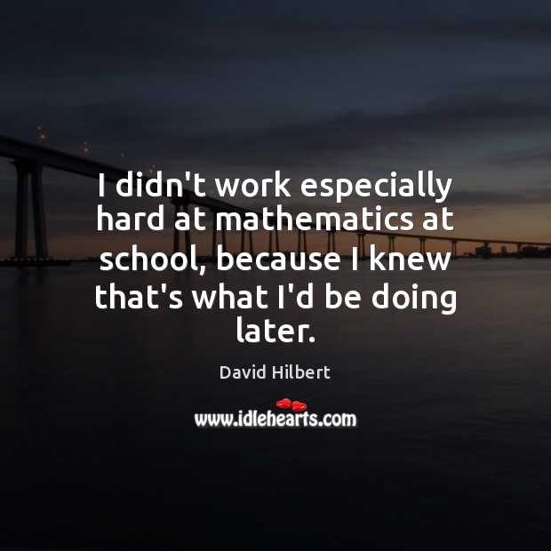 I didn’t work especially hard at mathematics at school, because I knew David Hilbert Picture Quote