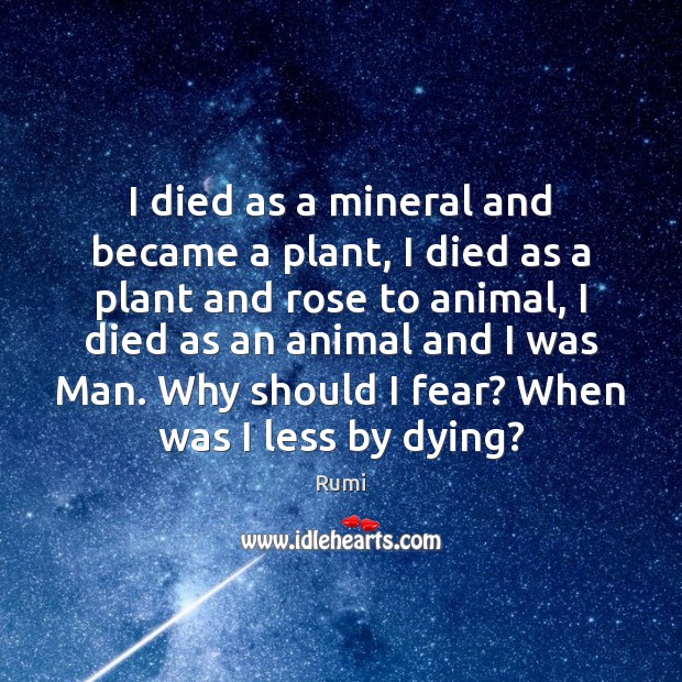 I died as a mineral and became a plant, I died as Rumi Picture Quote
