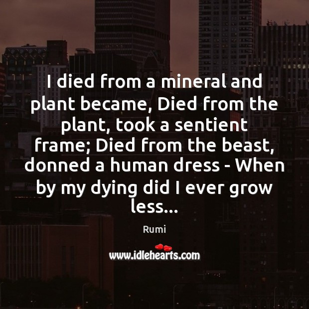I died from a mineral and plant became, Died from the plant, Rumi Picture Quote