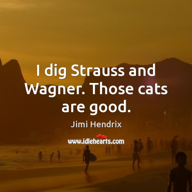 I dig Strauss and Wagner. Those cats are good. Jimi Hendrix Picture Quote