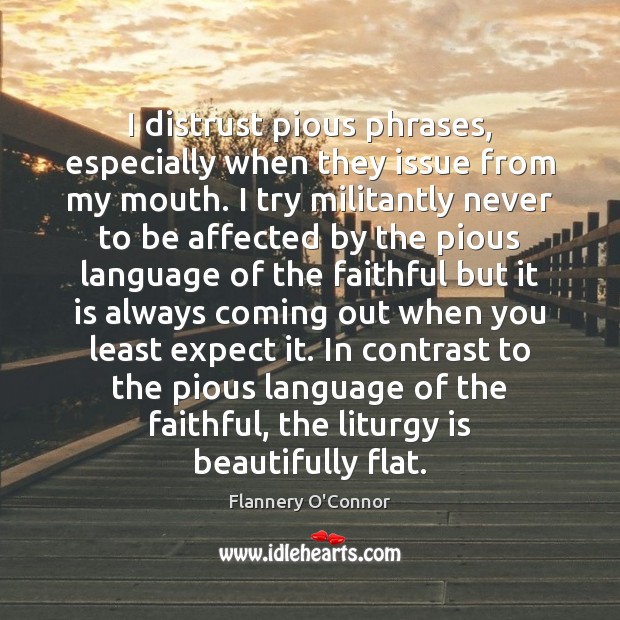 I distrust pious phrases, especially when they issue from my mouth. I Expect Quotes Image