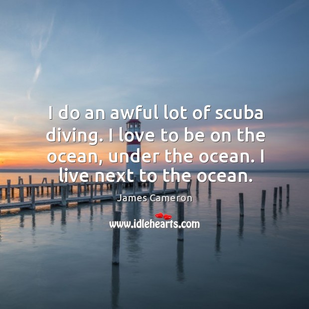 I do an awful lot of scuba diving. I love to be on the ocean, under the ocean. I live next to the ocean. Image