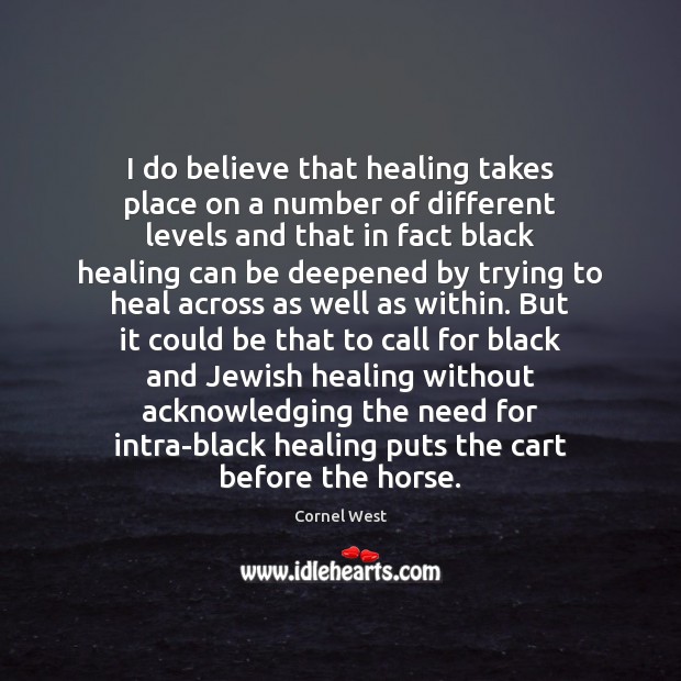I do believe that healing takes place on a number of different Cornel West Picture Quote