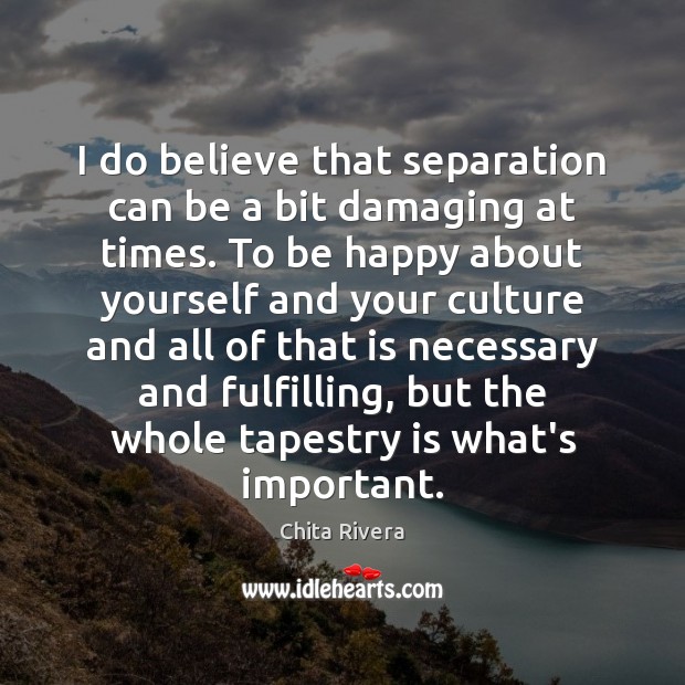 I do believe that separation can be a bit damaging at times. Chita Rivera Picture Quote