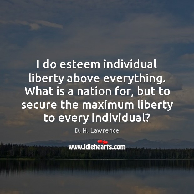 I do esteem individual liberty above everything. What is a nation for, D. H. Lawrence Picture Quote