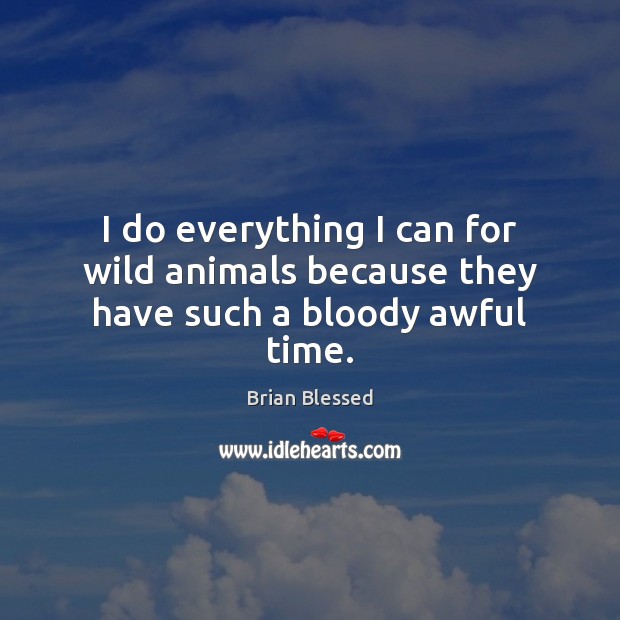 I do everything I can for wild animals because they have such a bloody awful time. Brian Blessed Picture Quote