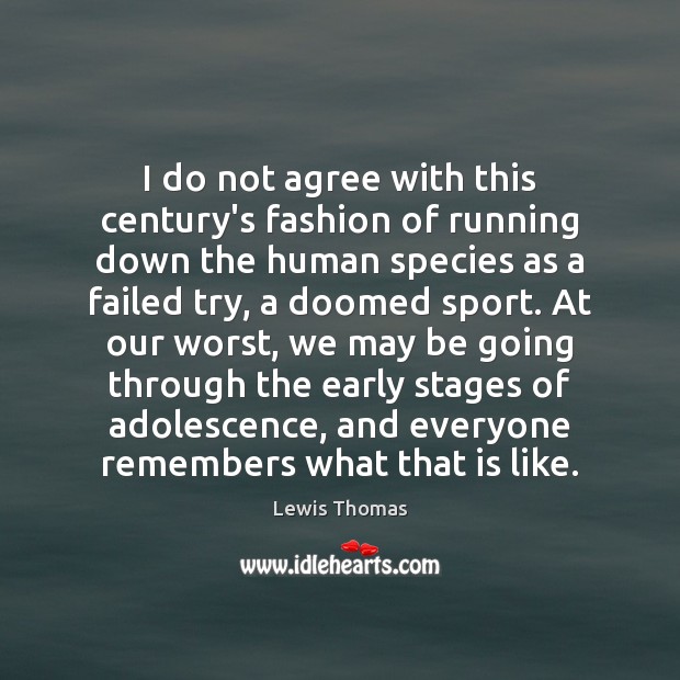 I do not agree with this century’s fashion of running down the Image