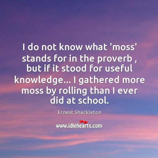 I do not know what ‘moss’ stands for in the proverb , but Ernest Shackleton Picture Quote