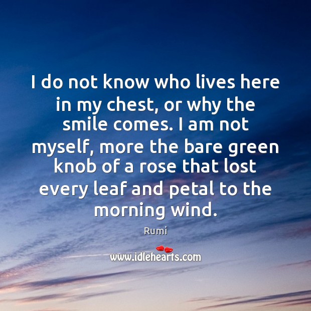 I do not know who lives here in my chest, or why Rumi Picture Quote