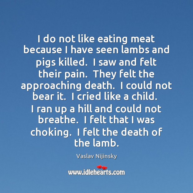 I do not like eating meat because I have seen lambs and Vaslav Nijinsky Picture Quote
