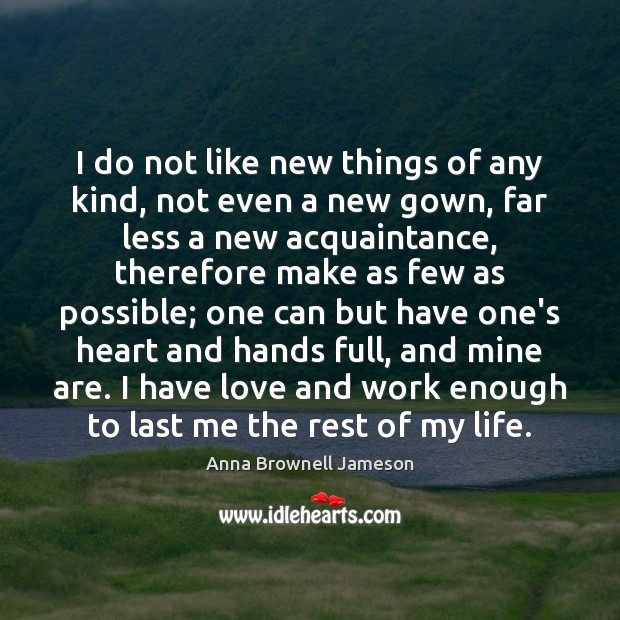 I do not like new things of any kind, not even a Anna Brownell Jameson Picture Quote