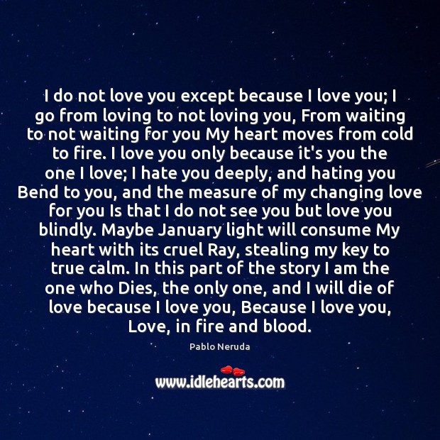I do not love you except because I love you; I go I Love You Quotes Image