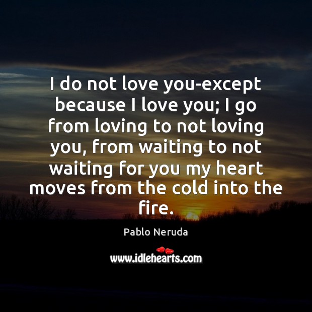 I do not love you-except because I love you; I go from I Love You Quotes Image