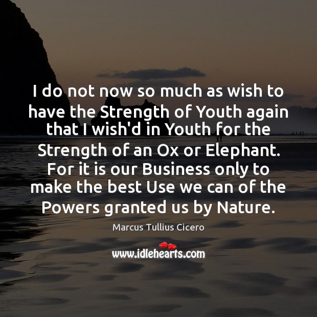 I do not now so much as wish to have the Strength Marcus Tullius Cicero Picture Quote