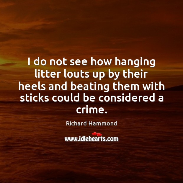 I do not see how hanging litter louts up by their heels Richard Hammond Picture Quote