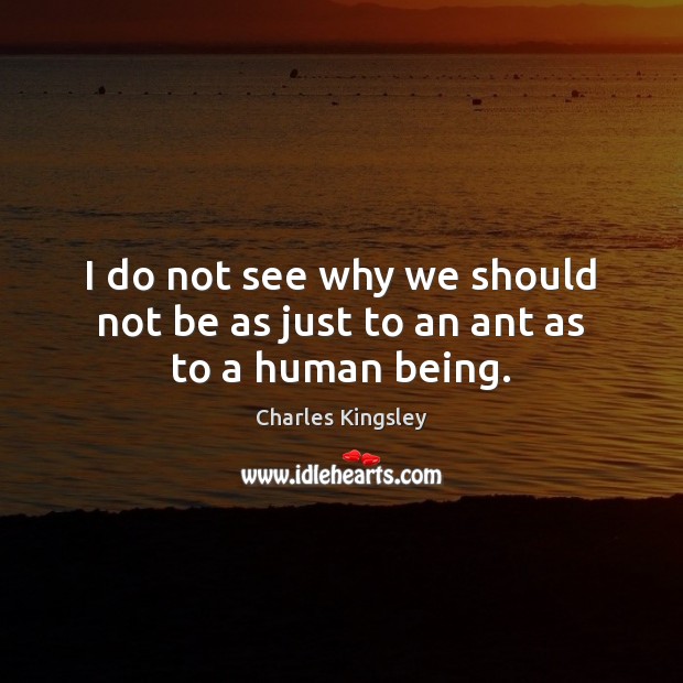I do not see why we should not be as just to an ant as to a human being. Charles Kingsley Picture Quote
