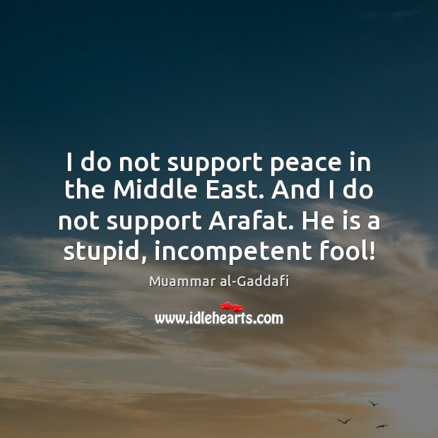 I do not support peace in the Middle East. And I do Image