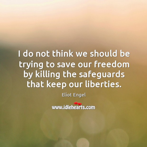 I do not think we should be trying to save our freedom by killing the safeguards that keep our liberties. Image