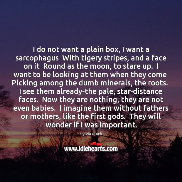 I do not want a plain box, I want a sarcophagus  With Sylvia Plath Picture Quote
