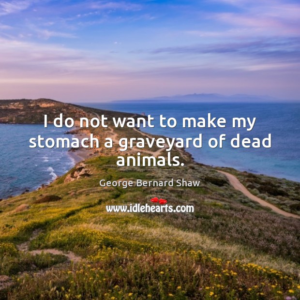 I do not want to make my stomach a graveyard of dead animals. George Bernard Shaw Picture Quote