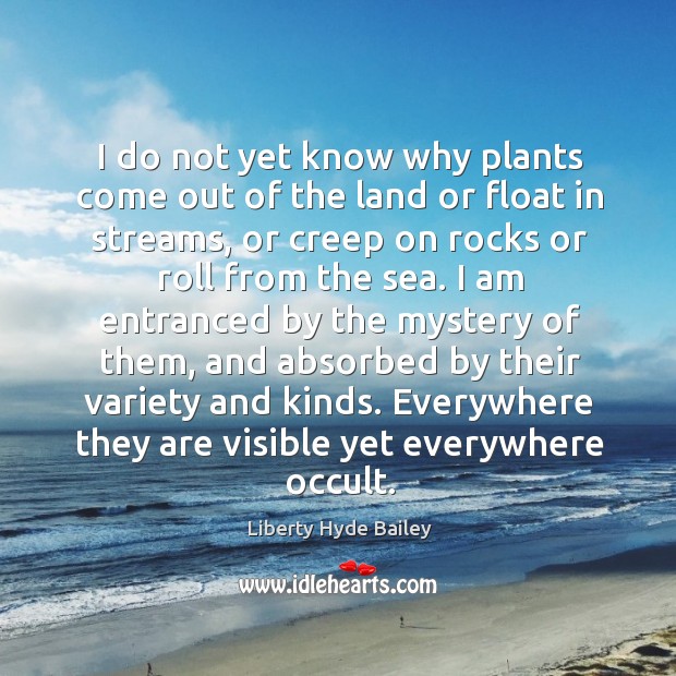 I do not yet know why plants come out of the land or float in streams, or creep on rocks Liberty Hyde Bailey Picture Quote