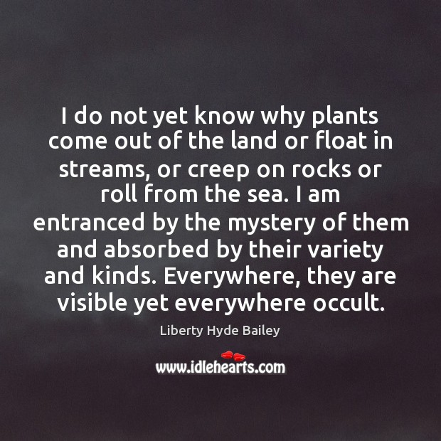 I do not yet know why plants come out of the land Liberty Hyde Bailey Picture Quote