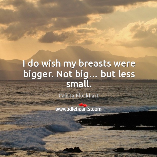 I do wish my breasts were bigger. Not big… but less small. Calista Flockhart Picture Quote