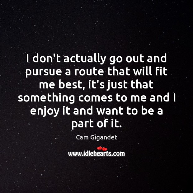I don’t actually go out and pursue a route that will fit Cam Gigandet Picture Quote