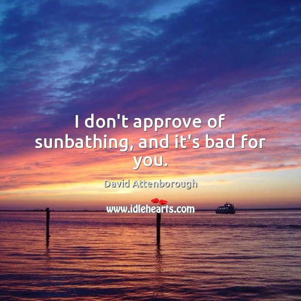 I don’t approve of sunbathing, and it’s bad for you. David Attenborough Picture Quote