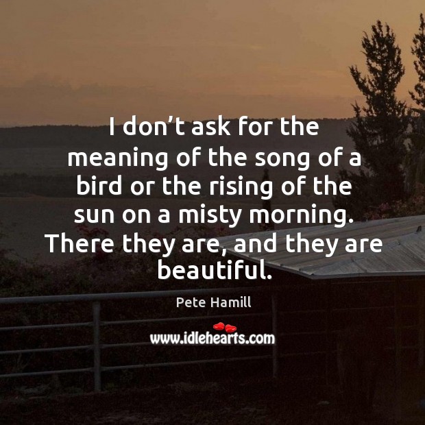 I don’t ask for the meaning of the song of a bird or the rising of the sun on a misty morning. Image