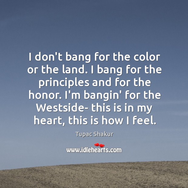 I don’t bang for the color or the land. I bang for Tupac Shakur Picture Quote