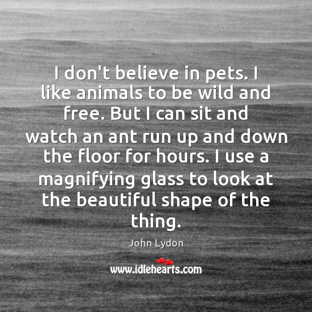 I don’t believe in pets. I like animals to be wild and John Lydon Picture Quote