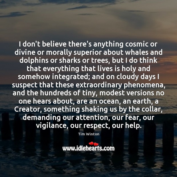 I don’t believe there’s anything cosmic or divine or morally superior about Tim Winton Picture Quote
